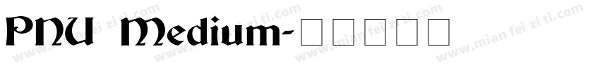 PNU Medium字体转换
